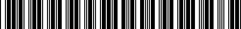 Barcode for 11217652933