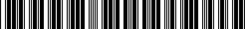 Barcode for 12137653138