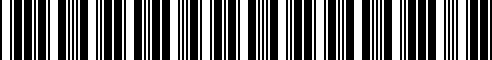 Barcode for 52538528623